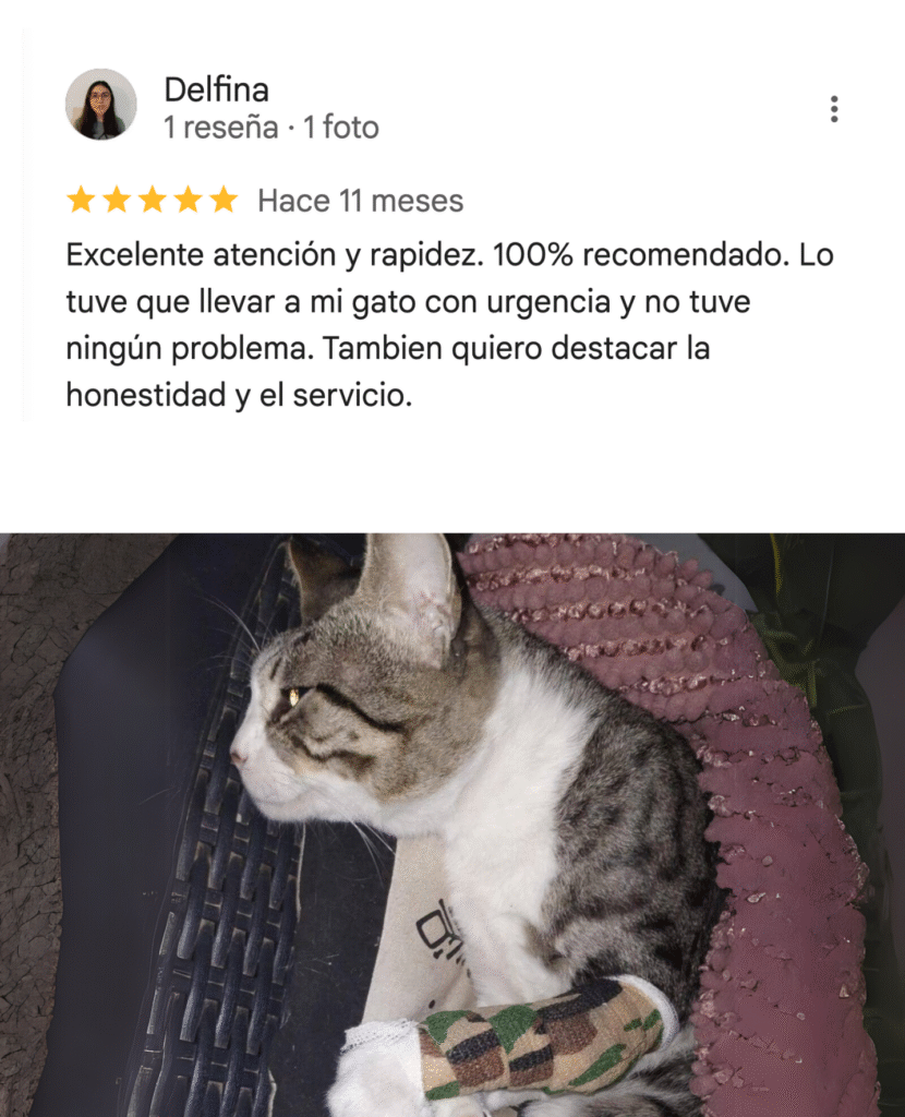 testimonio 5 estrellas de cliente con foto de gato
