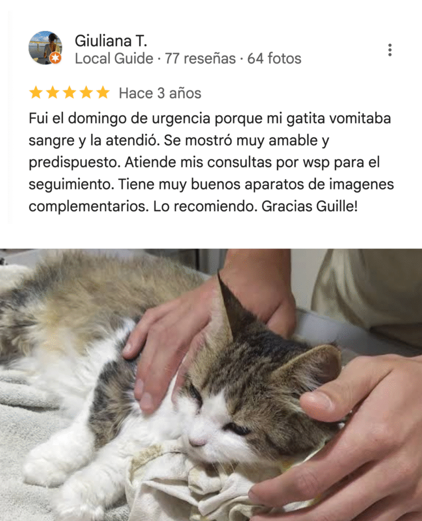 testimonio 5 estrellas de cliente con foto de gato